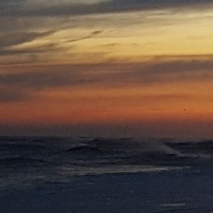 Meet your Posher, Rosemarie